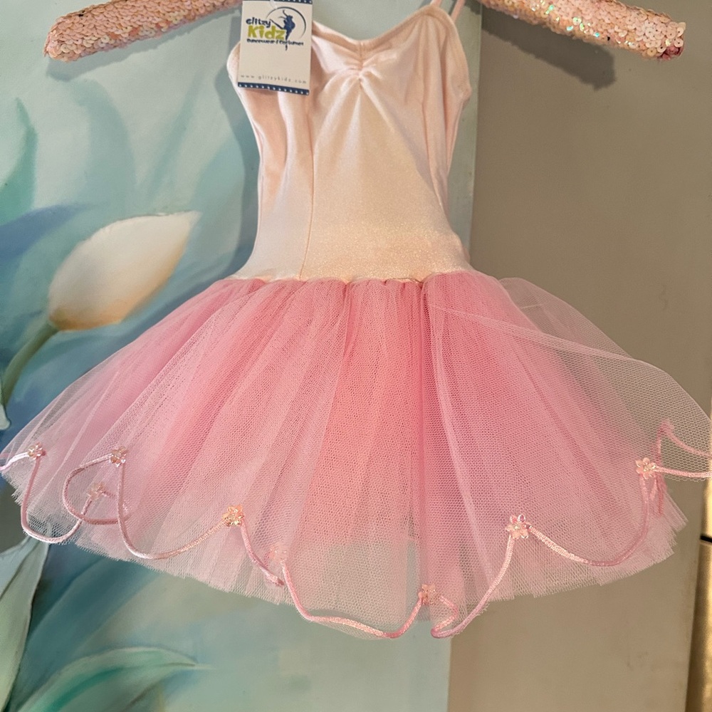 Pastel Pink Dance Tutu